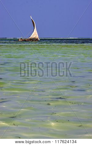 Costline Boat Pirague In The  Blue Lagoon Relax  Zanzibar Africa