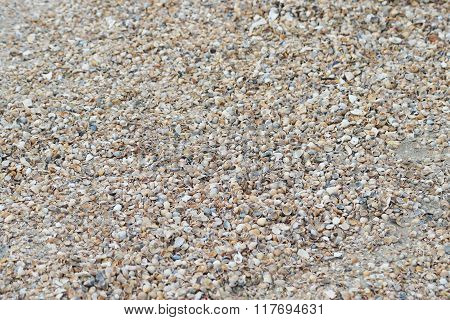 Background From Cockleshells And Sand