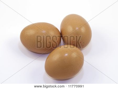ovos