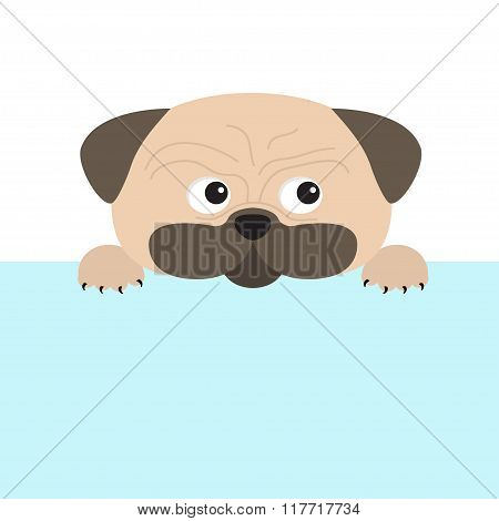 Pug Dog Mops And Paw. Cute Cartoon Character. Flat Design. Isolated. Wite Background.