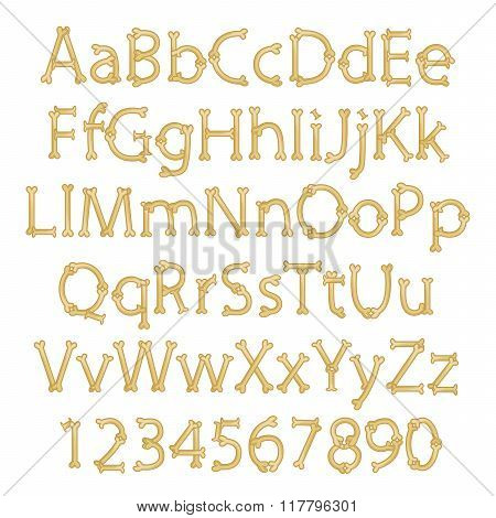 Dinosaur Bone Alphabet in Vector Format