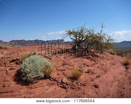 Red Rock Formation At Sierra De Las Quijadas In Argentina