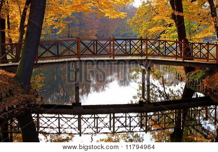 paesaggio in autunno con acqua e ponte
