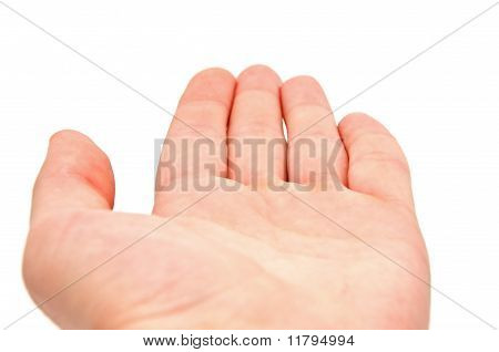 큰 남자 Handbreadth