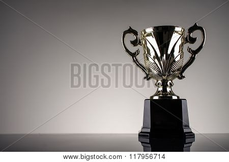 Winning Trophy Championship Award
