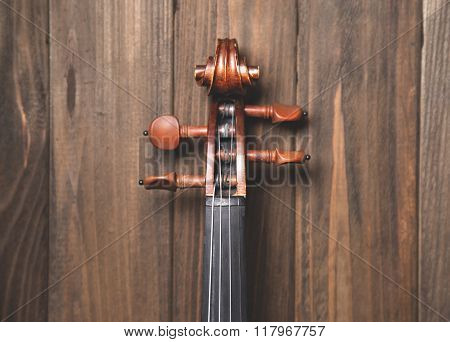 Violin
