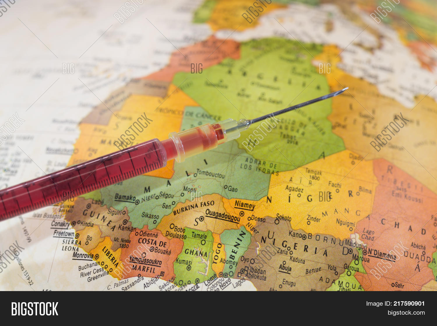 Syringe Vaccine Map Image & Photo (Free Trial) | Bigstock
