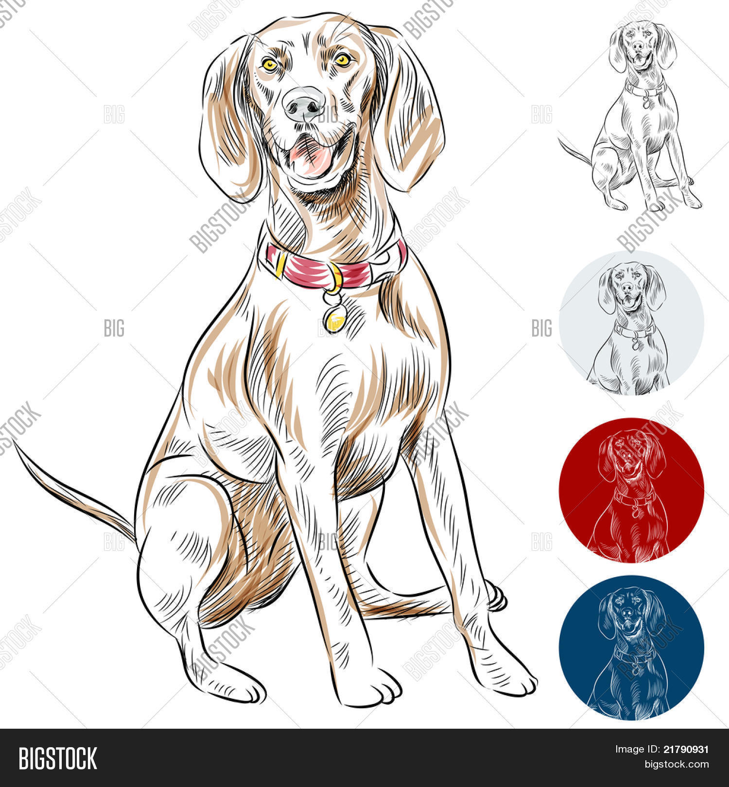 Image Redbone Image Photo Free Trial Bigstock