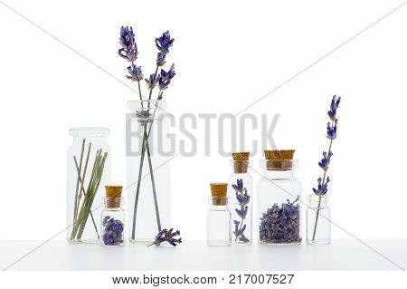 Flowers of dry lavender in the various glass bottles on the white background.