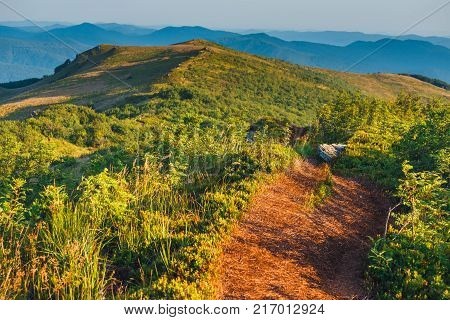 Summer mountain landscape at sunrise with grass and blue sky.