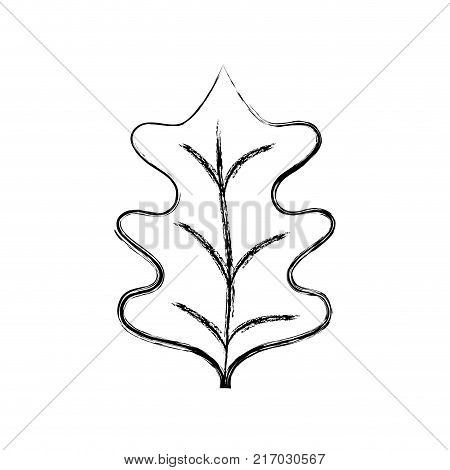 figure tropical kale leal natural plant vector illustration