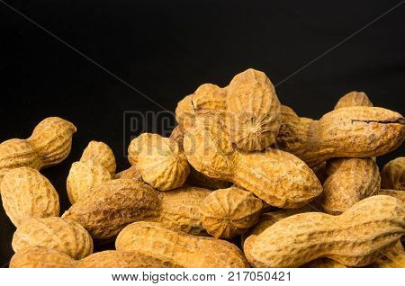 Peanuts, Arachis hypogaea, in shell on dark background, close up, selective focus