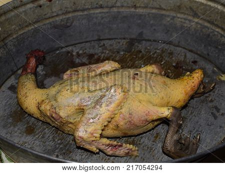 Cutting The Carcass Of A Musk Duck. Poultry Meat. Muscovy Duck. Cutting A Bird. Musk Ducks Plucked C