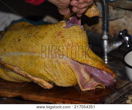 Cutting The Carcass Of A Musk Duck. Poultry Meat. Muscovy Duck. Cutting A Bird. Musk Ducks Plucked C