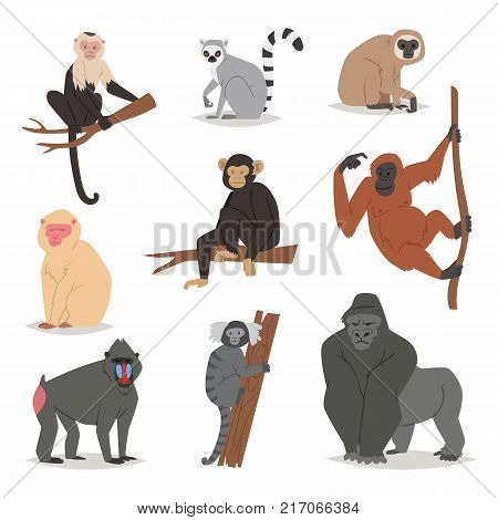 Monkey vector set cute animal macaque monkeyish cartoon character of primate chimpanzee, gibbon and babbon monkeyshines illustration isolated on white.