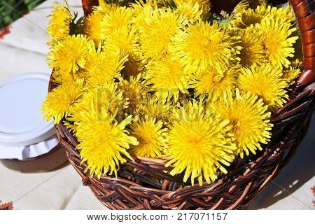 Beautiful spring flowers background with dandelion. Blossom flowers in the basket.