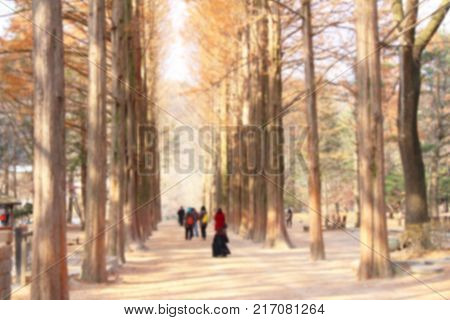 Blurred people at spring at Nami Island Korea