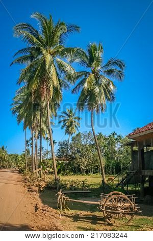 Dusty gravel road through the tropical rural countrye in the southern part of Cambodia
