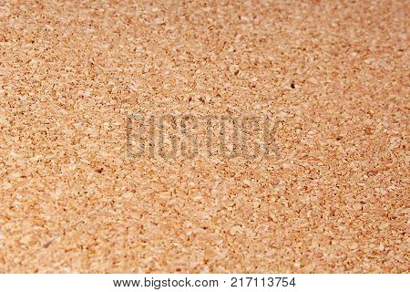 Corkwood texture pattern closeup photo. Corkwood background.