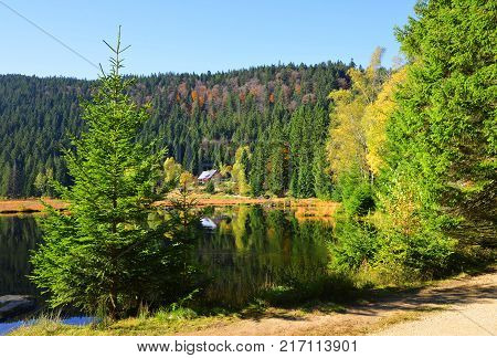 Moraine lake Kleiner Arbersee in National park Bavarian forest. Autumn landscape in Germany.