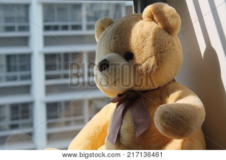 Bear toy sitting by the window in shadows