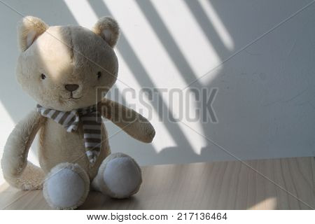 Kitten (kitty) toy sitting by the window in shadows