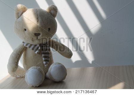 Kitten (kitty) toy sitting by the window in shadows