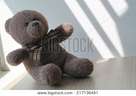 Brown Bear toy sitting by the window in shadows