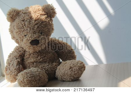 Brown Bear toy sitting by the window in shadows