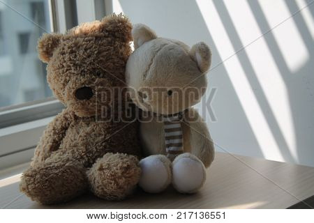 Brown Bear and kitten toy sitting by the window in shadows