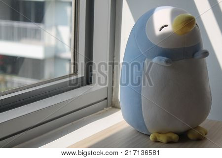 Blue penguin toy sitting by the window in shadows