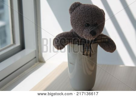 Bear toy with cup sitting by the window in shadows