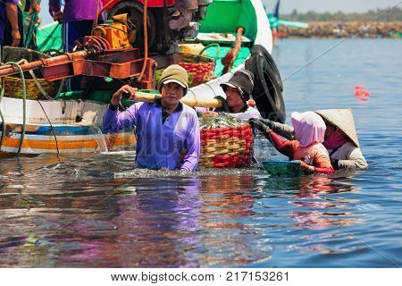 Jembrana Bali Island Indonesia - September 20 2015: A way of life earning money in Bali. In Perancak village harbour Indonesian dockers unload traditional fishing boat for shipping fish to cannery
