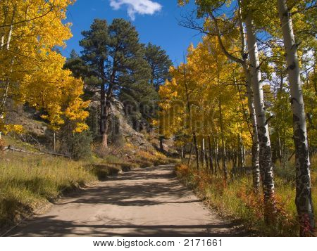 Strada d'autunno