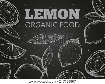 Sketch leaves and lemons on blackboard background. Vector illustration hand drawn