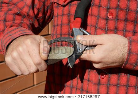 Sharpen Pruning Shears For The Perfect Cut. Cleaning and Sharpening Garden Tools.