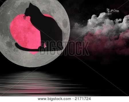 Katze im Mond