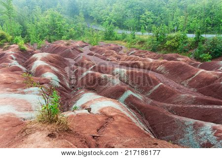 Badlands and road in Cheltenham on foggy day