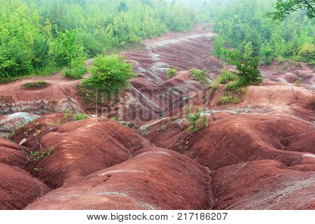 Badlands in Cheltenham Ontario on foggy day