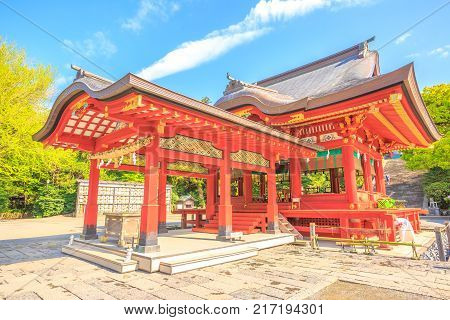 Red architecture of Tsurugaoka Hachiman, the most important Shinto shrine in the city of Kamakura, Kanagawa Prefecture of Japan. Springtime in the blue sky.