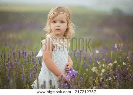Cute Little Baby Blong Girl Walking Posing On Meadow Of Forest Wild Lavender Wearing Stylish White D
