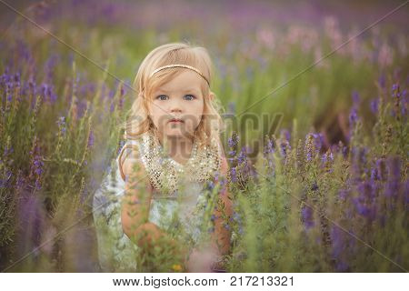 Cute Little Baby Blong Girl Walking Posing On Meadow Of Forest Wild Lavender Wearing Stylish White D