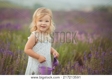 Cute Little Baby Blong Girl Walking Posing On Meadow Of Forest Wild Lavender Wearing Stylish White D