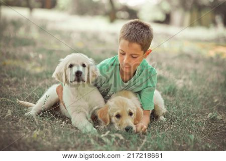 Retriever Pup Lovely Scene Handsom Teen Boy Enjoying Summer Time Vacation With Best Friend Dog Ivory