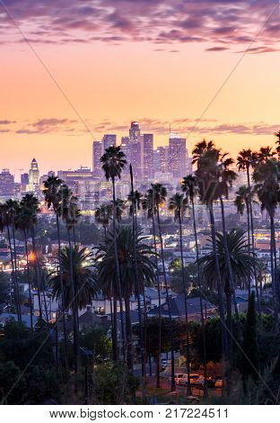 Beautiful Sunset Of Los Angeles Downtown Skyline And Palm Trees In Foreground