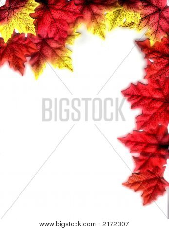 Autunno Design