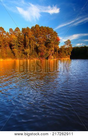 Beautiful foliage along the shoreline of Sweeney Lake in northwoods Wisconsin