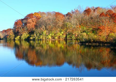 Kickapoo State Park is located in Vermilion County Illinois and features numerous hiking paths and lakes