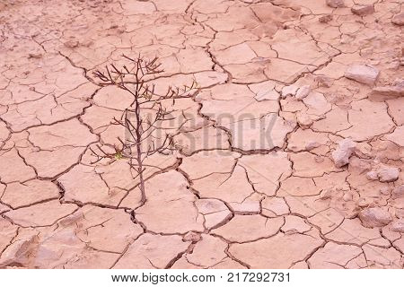Drylands are defined by a scarcity of water, evaporation from surfaces and transpiration by plants.