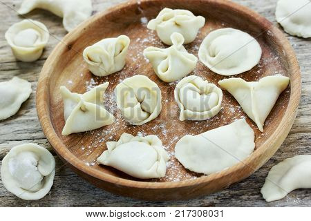 Different types of homemade pasta with stuffing - dumplings vareniki manti tortellini agnolotti ravioli gedza dim sum
